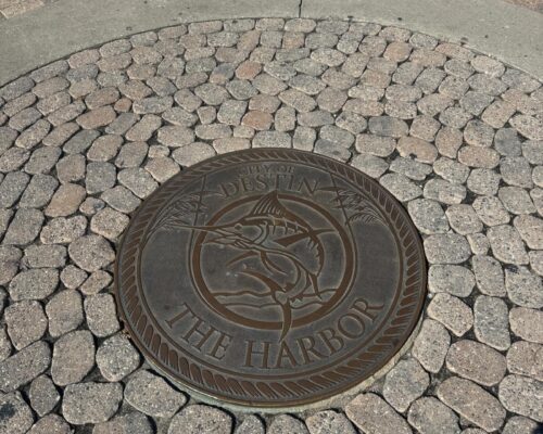 WhatsApp Image 2026-03-10 at 8.33.43 AM (4)