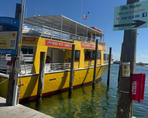 WhatsApp Image 2026-03-10 at 8.33.43 AM (5)