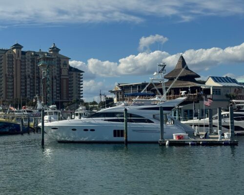 WhatsApp Image 2026-03-10 at 8.33.43 AM (6)