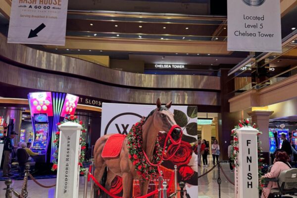 WhatsApp Image 2026-03-16 at 6.08.19 AM (2)