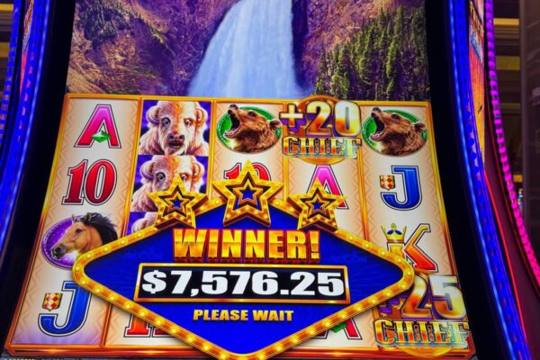 WhatsApp Image 2026-03-16 at 6.08.20 AM (11)