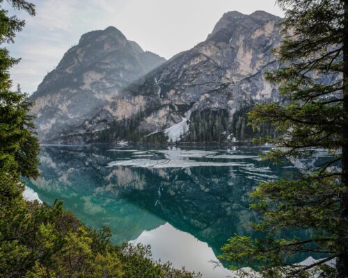 pexels-eberhardgross-1062249 pexels-eberhardgross-1062249