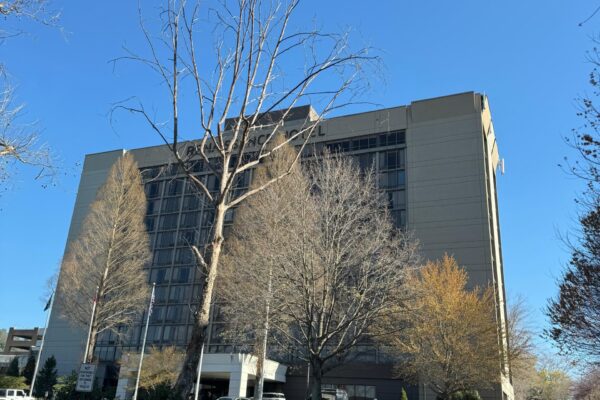 WhatsApp Image 2026-03-16 at 5.59.01 AM (1)