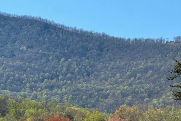 WhatsApp Image 2026-03-16 at 5.59.01 AM