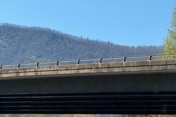 WhatsApp Image 2026-03-16 at 5.59.01 AM