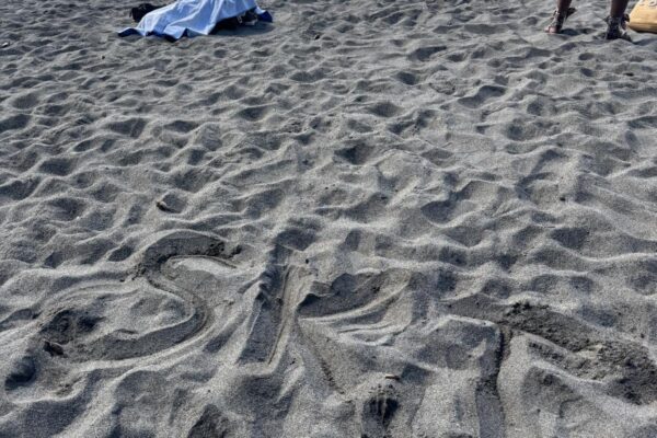 WhatsApp Image 2026-03-16 at 8.45.51 AM (1)