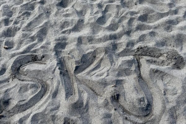 WhatsApp Image 2026-03-16 at 8.45.51 AM