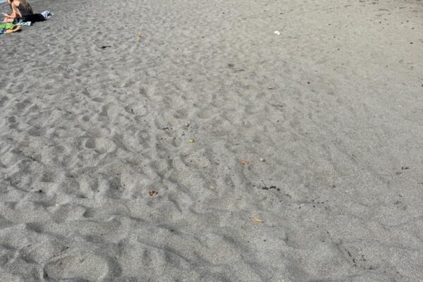 WhatsApp Image 2026-03-16 at 8.45.52 AM (1)