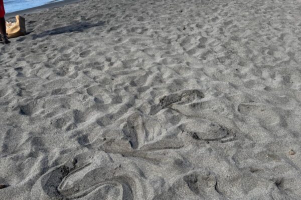 WhatsApp Image 2026-03-16 at 8.45.52 AM